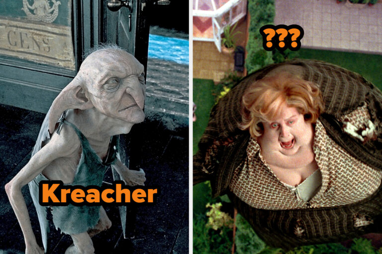 98% Of Harry Potter Fans Won't Be Able To Name All Of These Characters