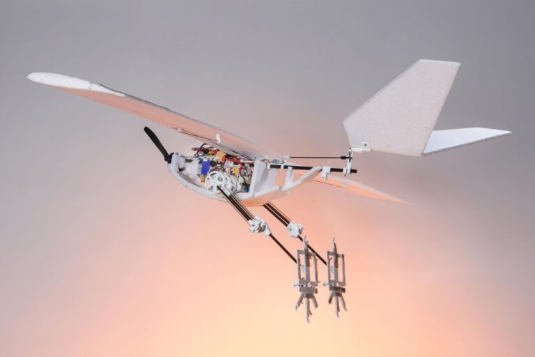 Researchers put bird legs on a drone so it can take off by jumping