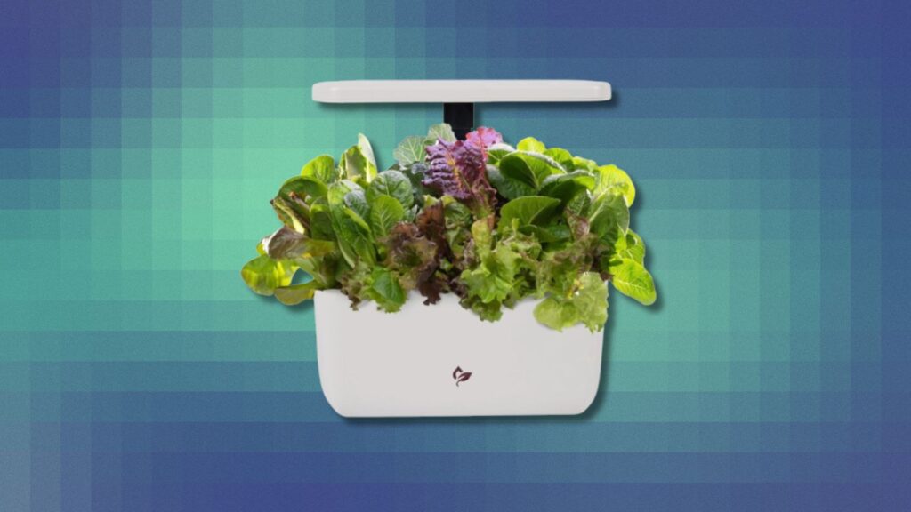 The AeroGarden Harvest 2.0 is half off and makes for an excellent last-minute gift