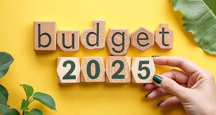 Budget 2025: Experts call for focus on mental health, medical device duties, and healthcare access