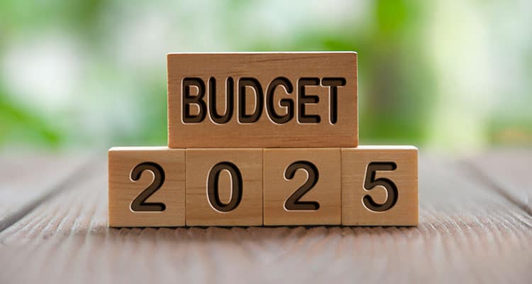 Industry experts advocate strategic reforms ahead of union budget 2025