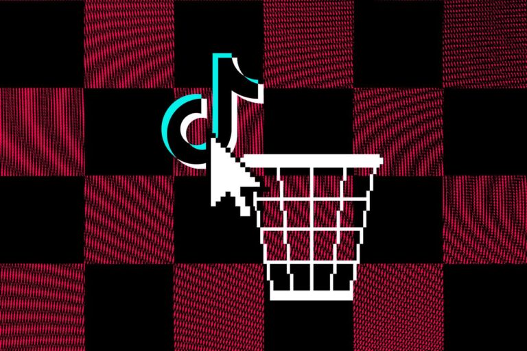 TikTok ban: all the news on the app’s shutdown in the US