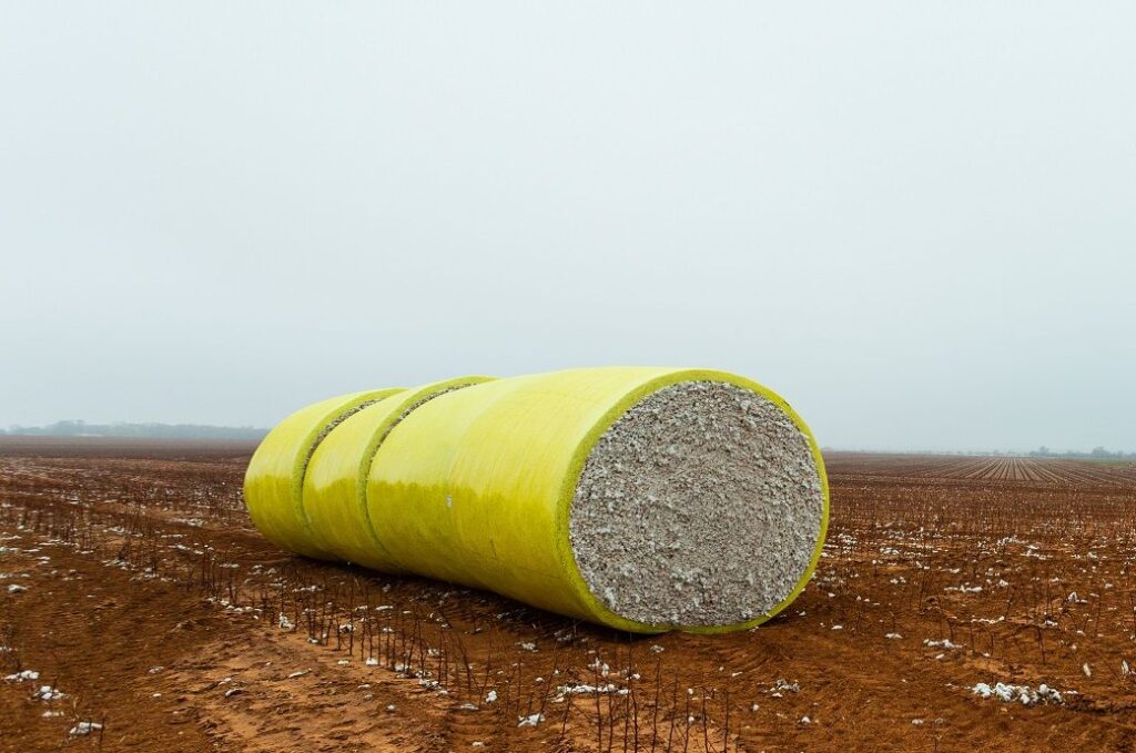 WASDE: Global cotton production, consumption, exports projected higher