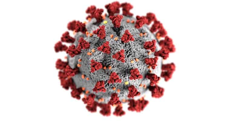 Karnataka reports Human Metapneumovirus (HMPV) cases