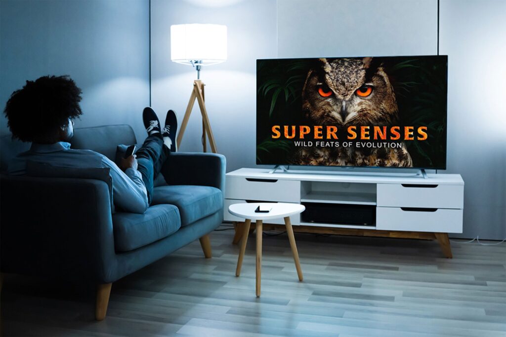 Turn your screen into a window to the world with MagellanTV documentaries