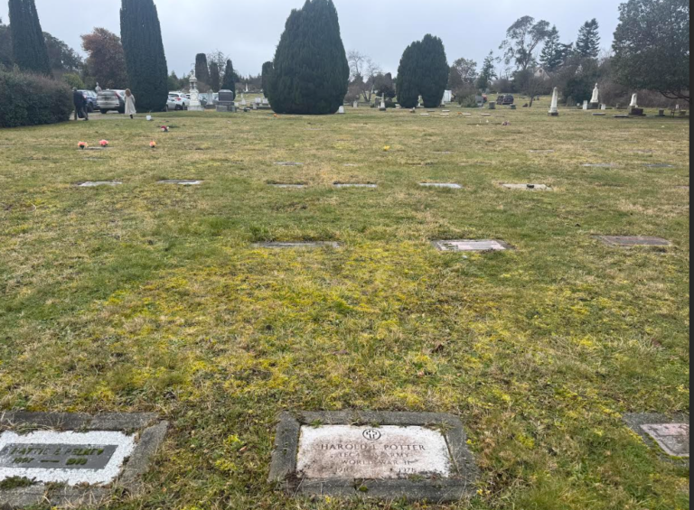 Harry Potter Headstone Found Near Forks, Washington (Not that Close…)