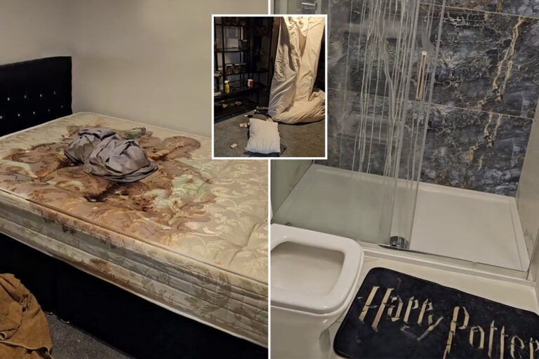 Harry Potter AirBnB owner devastated as ‘worst ever’ guests leave brown stains on bed and cover rooms in bleach