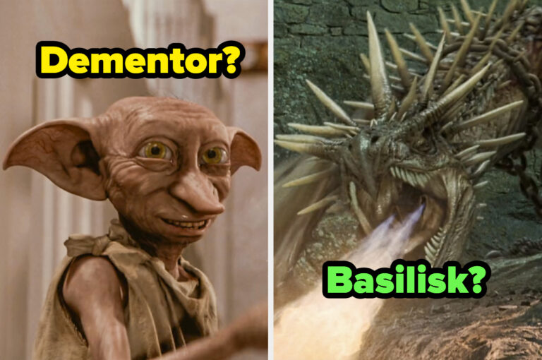 If You Can’t Name These Magical Harry Potter Creatures, You’re Getting Kicked Out Of Hogwarts Immediately