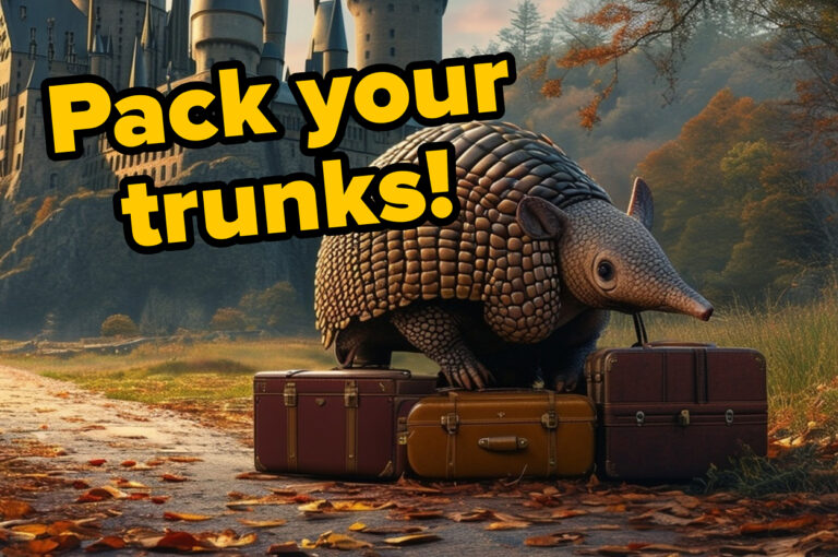 Would You Survive A Day In Hogwarts...As An Armadillo?