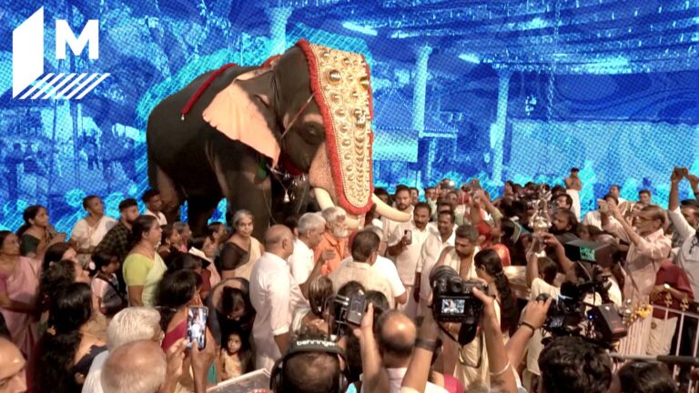 Robot elephants are replacing real ones in an Indian temple