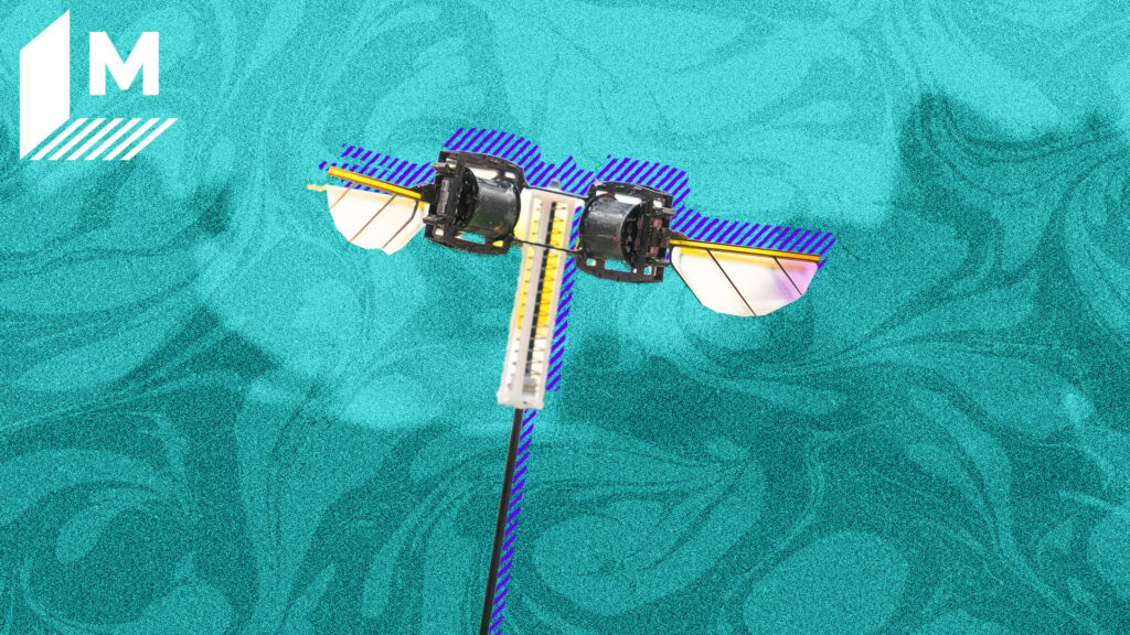 MITs tiny hopping robot is designed to go places humans cant