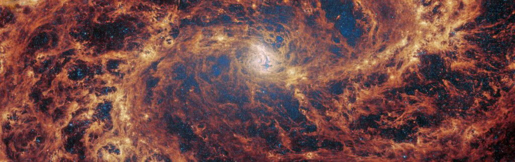 Webb telescope may have just revealed a spiral galaxys startling secret