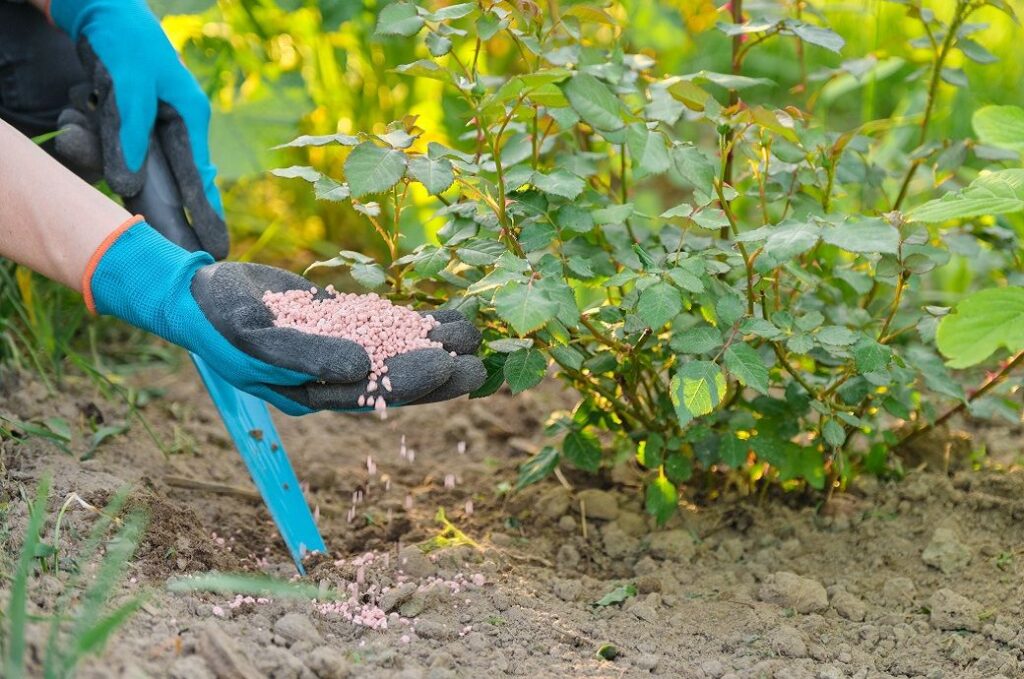 Coromandel & Saudi’s Ma'aden partner for phosphatic fertilisers