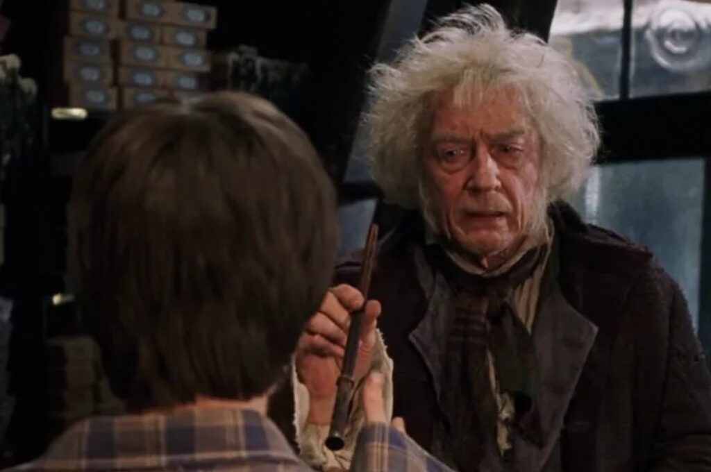 What Kind Of Wand Would Choose You At Ollivanders?