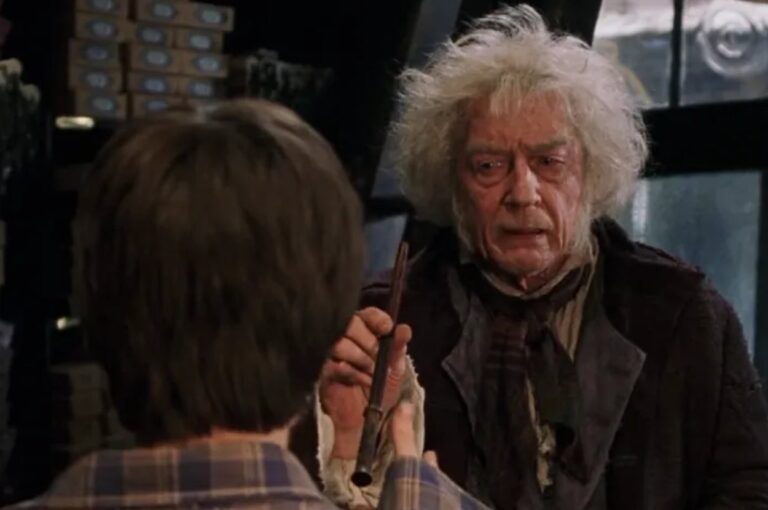 What Kind Of Wand Would Choose You At Ollivanders?