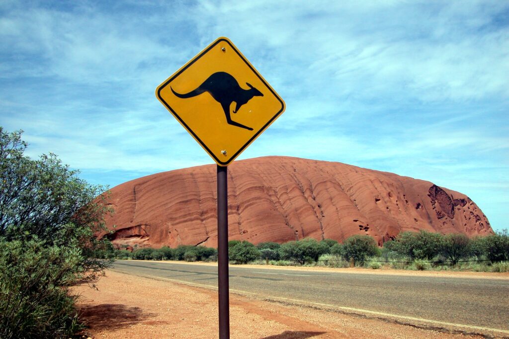 The viral emotional support kangaroo is an AI creation