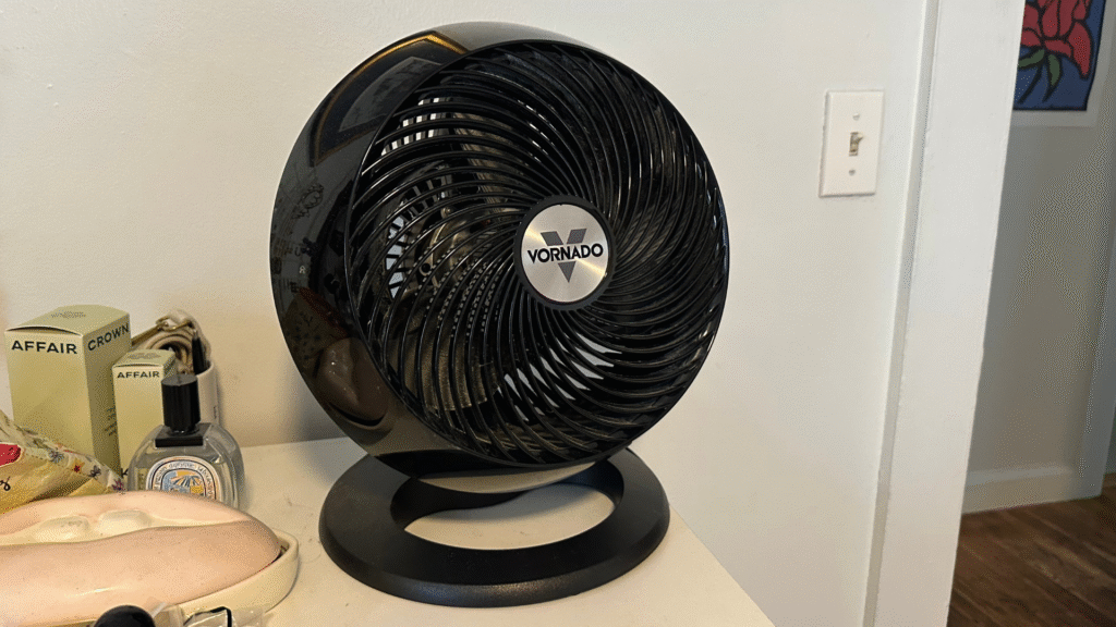 I survived a summer with no AC with this $95 super fan