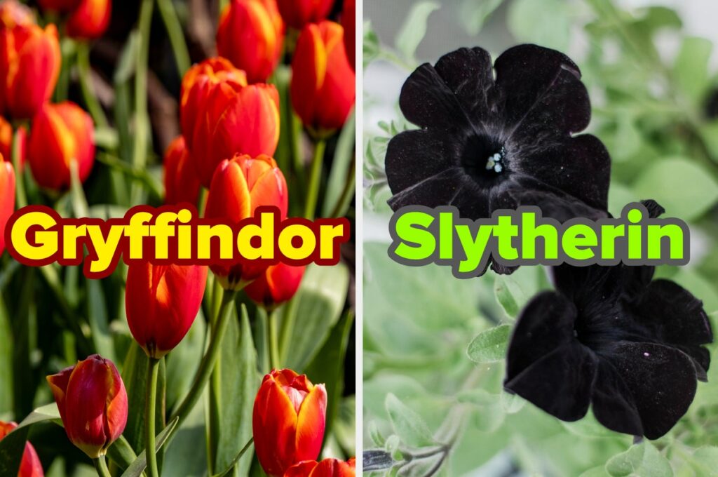 Can We Guess Your Hogwarts House Based On The Flowers You Choose?