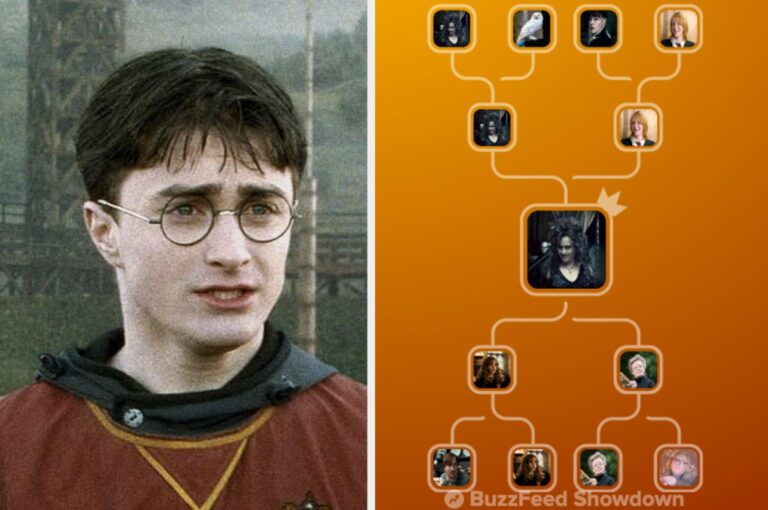 This "Harry Potter" Character Showdown Quiz Gets Progressively Harder As The Rounds Go On