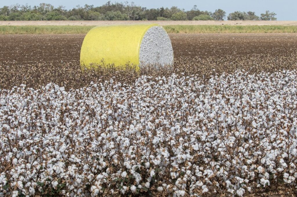 ICE cotton stalls below resistance amid mixed signals