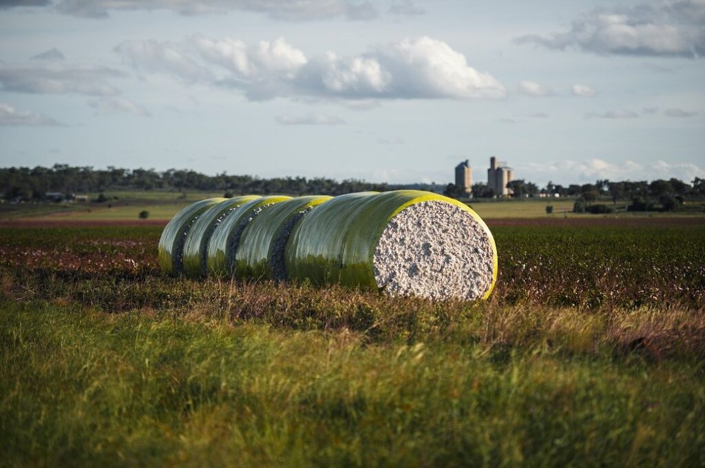 US’ Upland & Pima cotton exports rise this week: USDA