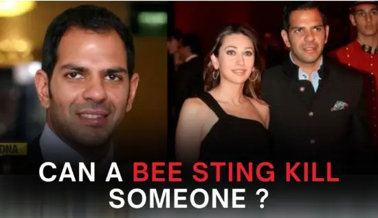 Can a Bee Sting Trigger a Heart Attack? The Scary Truth You Should Not Ignore