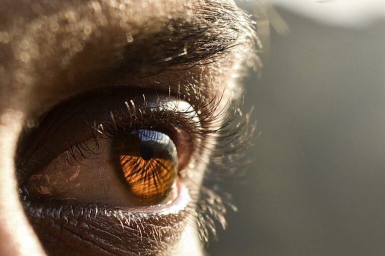 Eyestem announces completion of phase one of its RPE Cell Therapy