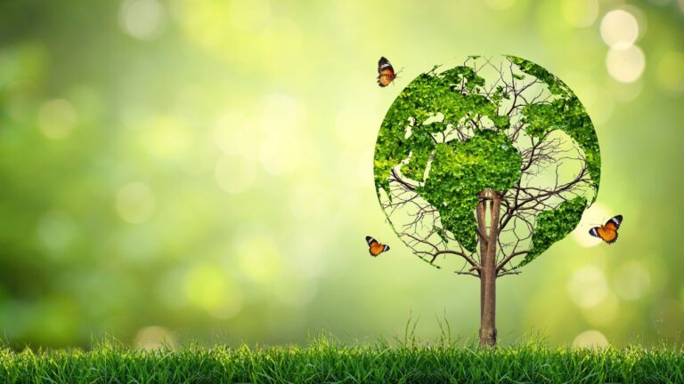 World Environment Day: Apollo Navi Mumbai GM Saigon KP Varghese on India’s Healthcare Sustainability Shift
