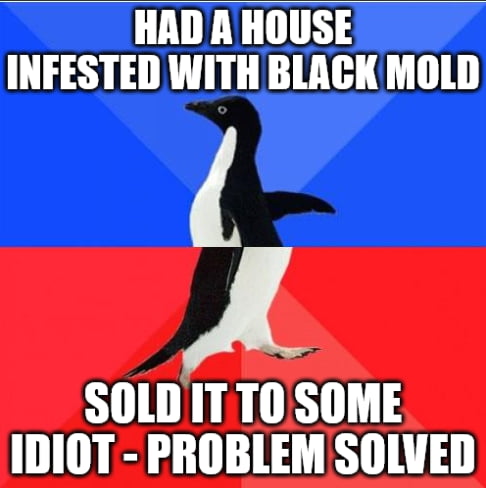 I've got 99 problems, but black mold ain't one (anymore)...