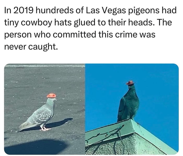 Just another day in Las Vegas, apparently