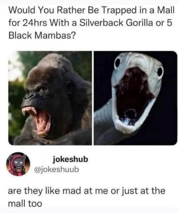Asking the real questions here