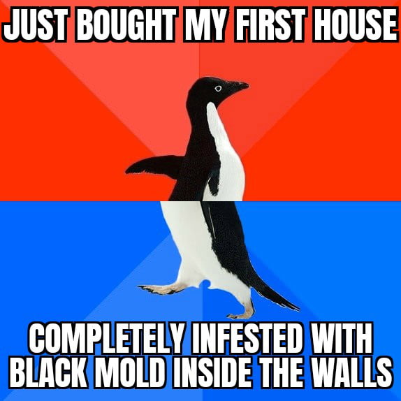 It wasn't discovered until after the sale went through. There's nothing for it lads, Im stuck with it.