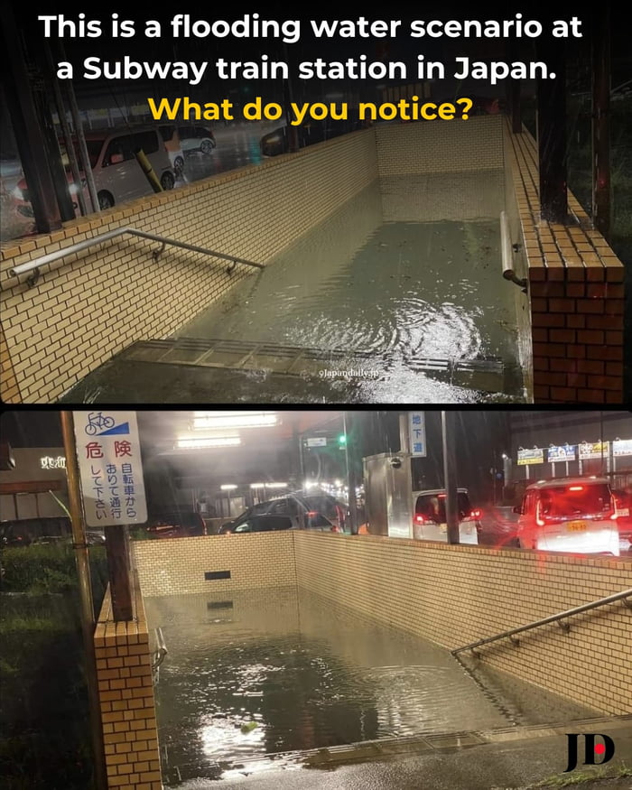 ... No looting?