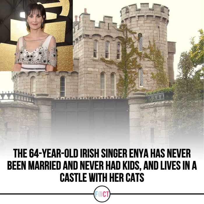 Living the dream, castle and cats included.