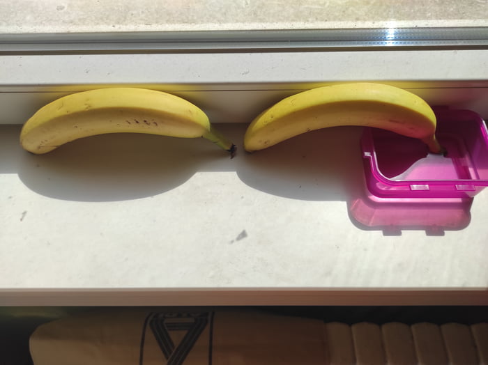 For everybody who missed it, day two. Right one is very very few more green. Lets try those `life Hacks`. Science b*tch!