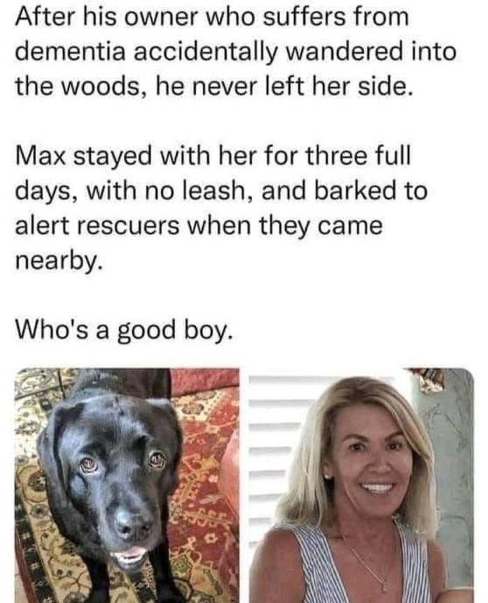 Max the hero dog stayed by his owner's side for three days until help arrived. True loyalty.