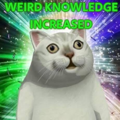 Tell us weird knowledge. Let's be enriched together.