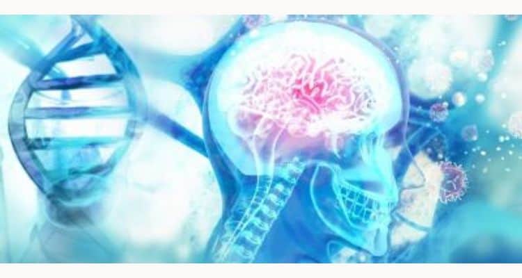 Elon Musk’s Neuralink raises $650 mn in latest funding as clinical trials begin