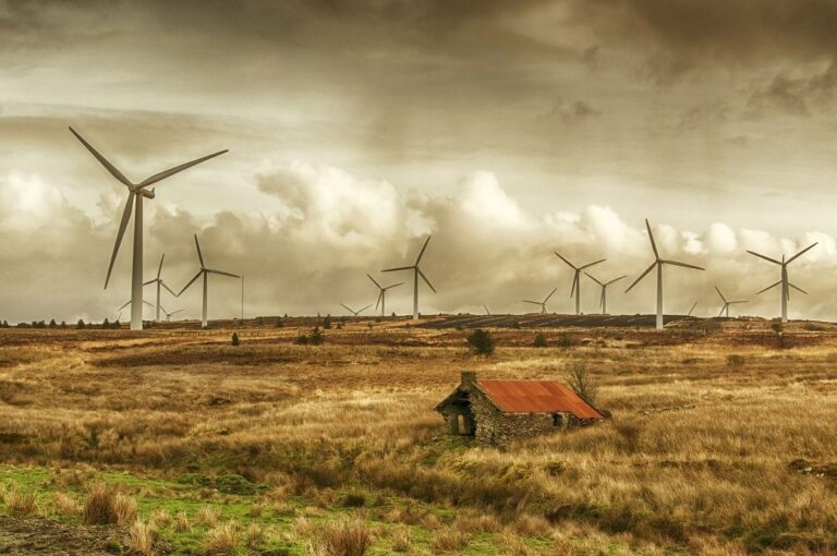 EU power costs could drop 57% with renewables: EEA