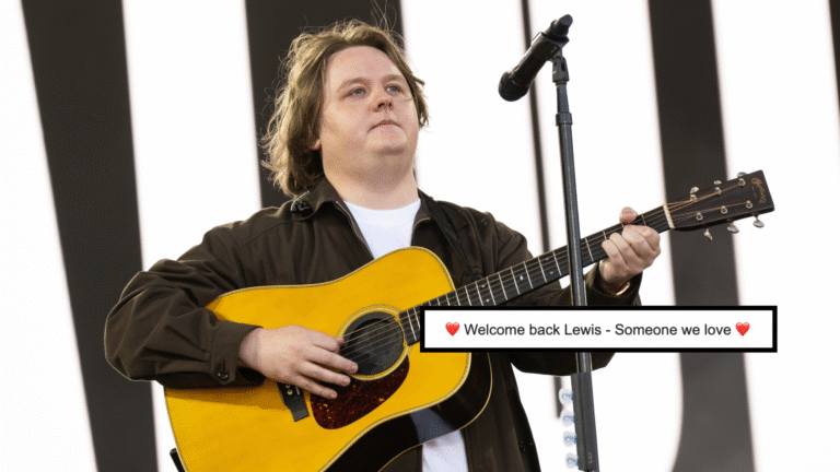 Googles Lewis Capaldi search Easter egg is very sweet