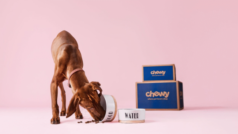 Chewy is handing out free $30 gift cards — heres how to get yours