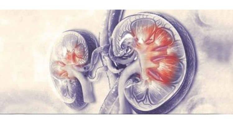 India dialysis machines market to grow at 2% CAGR through 2036, forecasts GlobalData