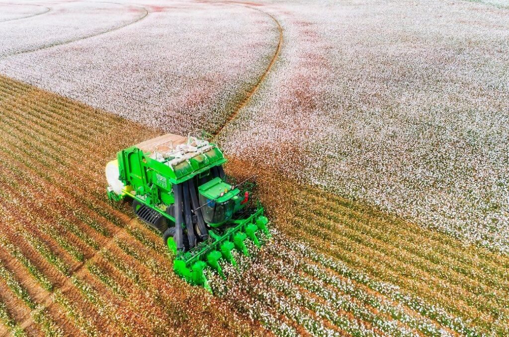 ICE cotton slips on profit booking, stronger US dollar
