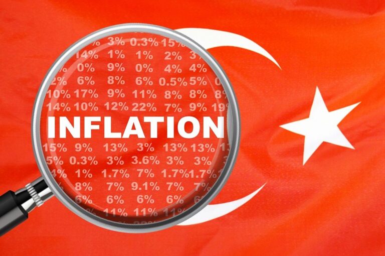 Turkish inflation projected to drop to 29.86% by 2025 end: CBRT survey