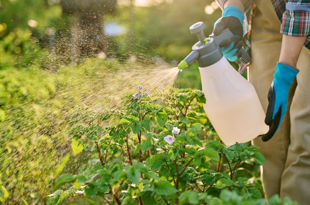 Switzerland’s Syngenta unveils breakthrough herbicide for grass weeds