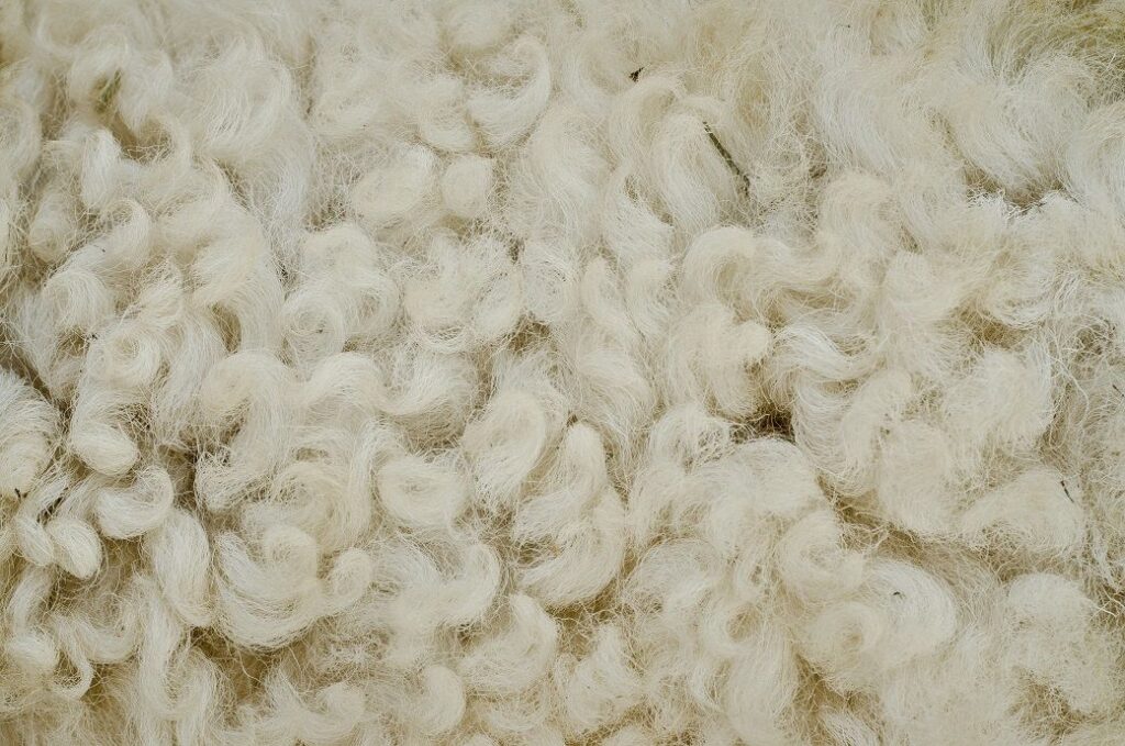 Australia’s Merino wool prices ease amid tight supply, stronger AU$