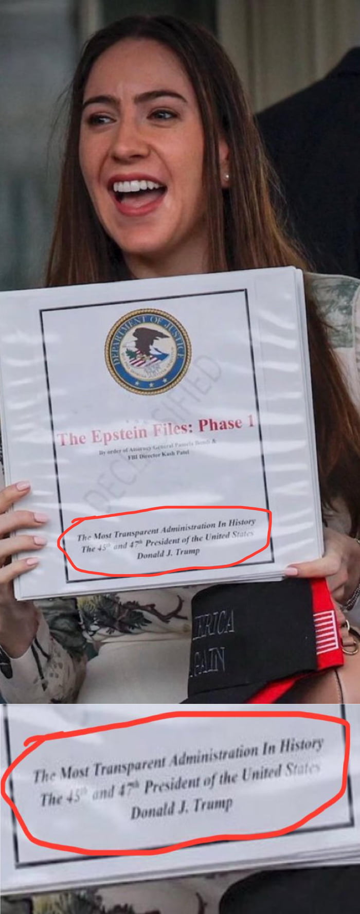 The Epstein Files