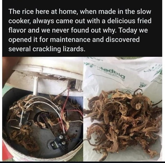 Bro will spend the rest of his life trying to find that taste again