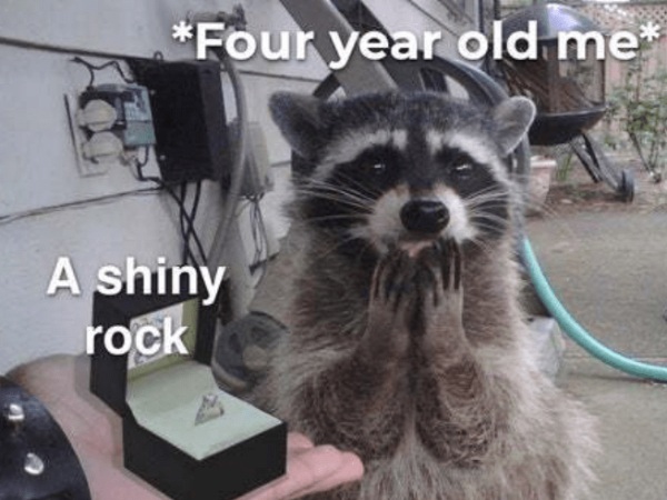 Welcome Back to the Happiest Corner of the Internet (28 Photos)