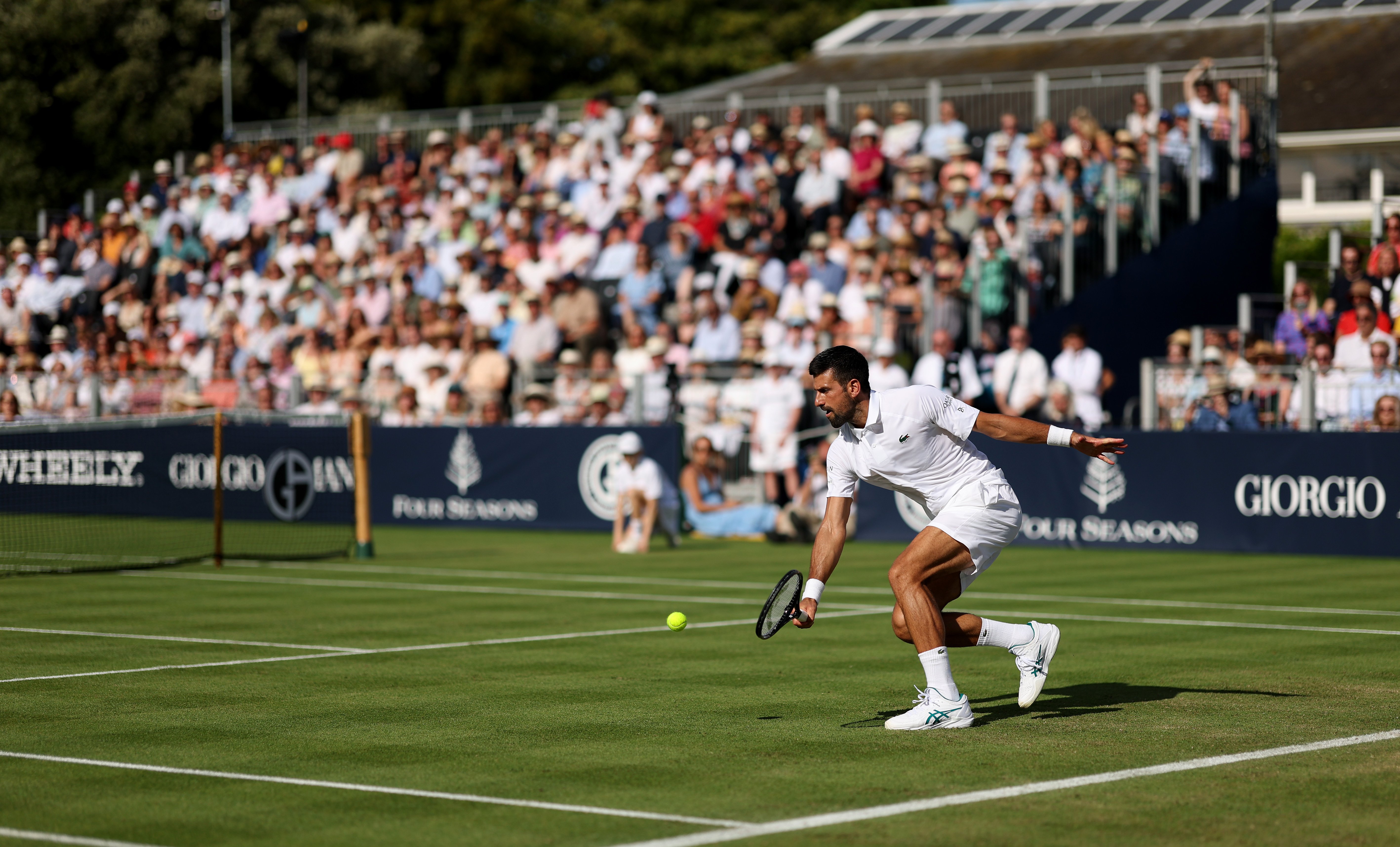 How to watch Müller vs. Djokovic online for free